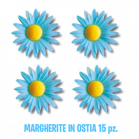 MARGHERITE DI CIALDA AZZURRE - 15 Pz.